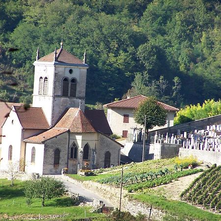 Gite Du Vieux Tonneau Cerdon  Екстериор снимка